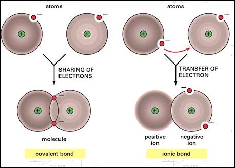 Covalent and ionic bonding.